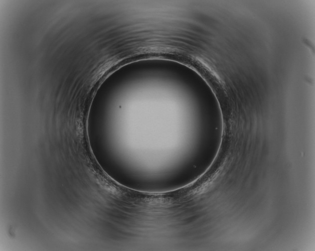 X0000091471025200708231333