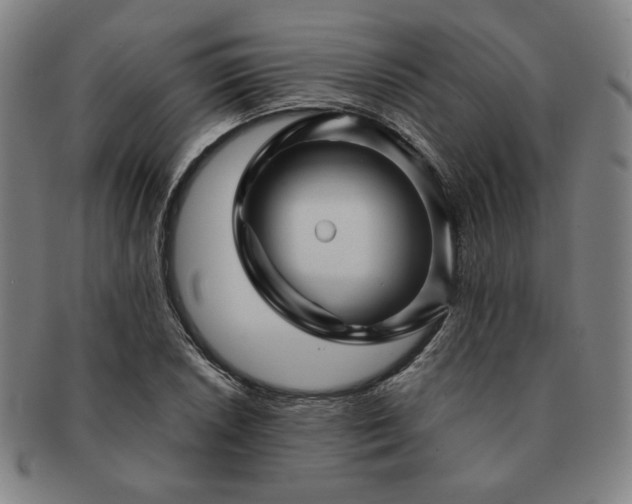 X0000091471026200708231333