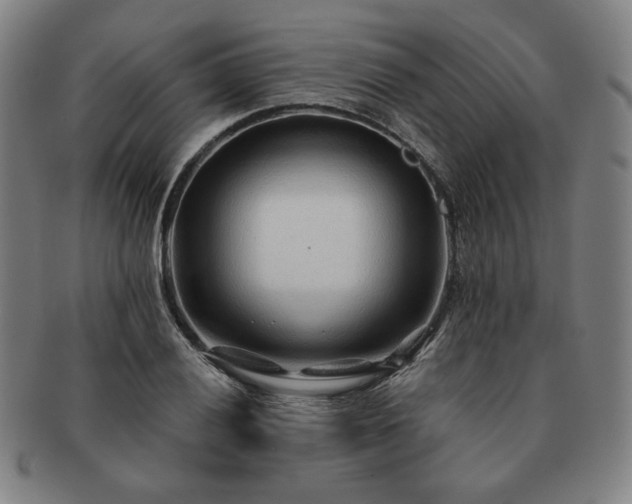 X0000091471028200708231334