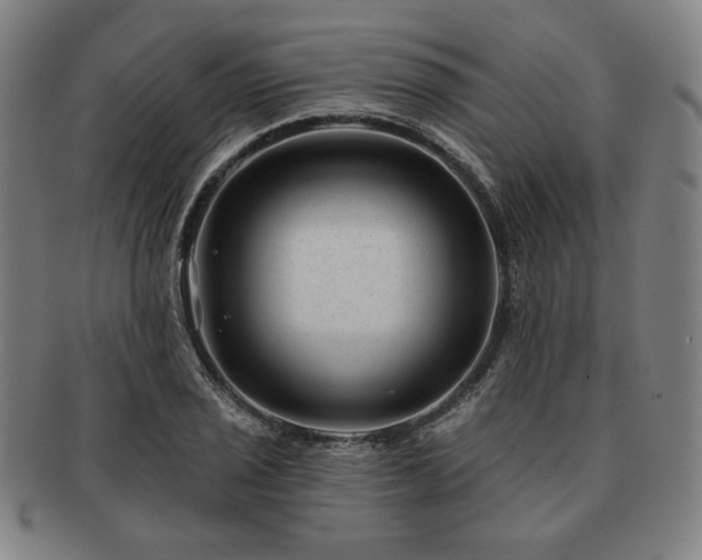 X0000091471029200708231334