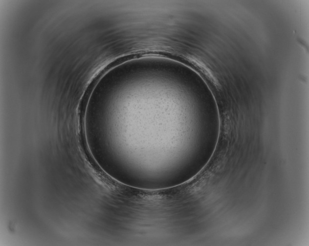 X0000091471031200708231334