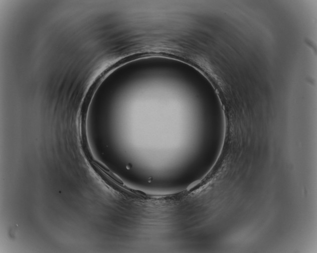 X0000091471032200708231334