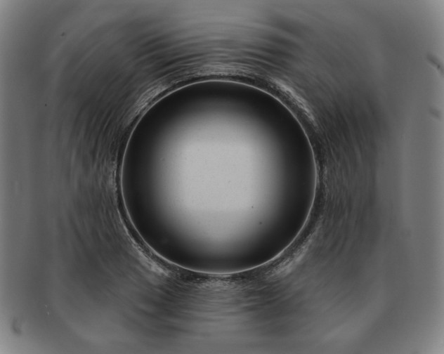 X0000091471033200708231334