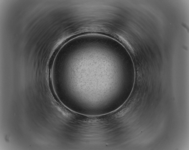 X0000091471035200708231334