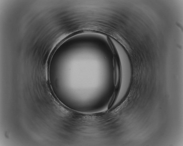 X0000091471036200708231334