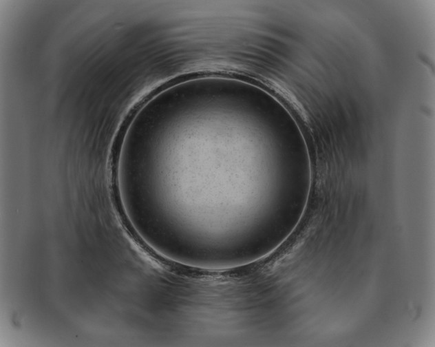 X0000091471037200708231334