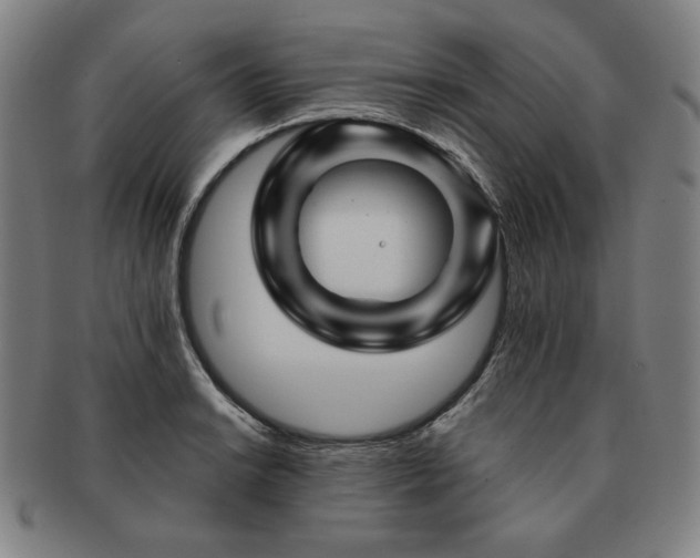 X0000091471038200708231334