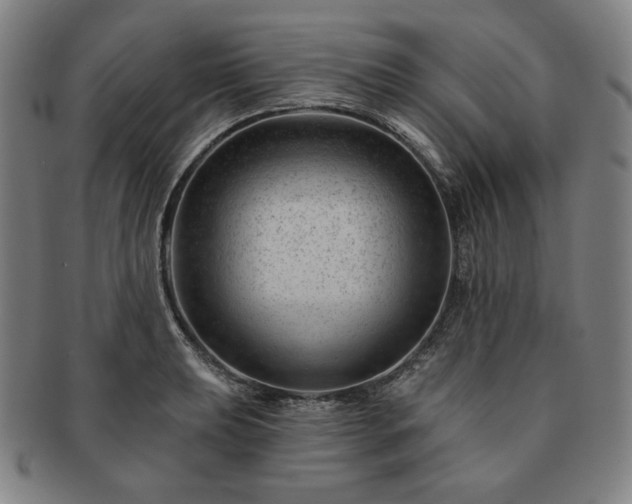 X0000091471039200708231334