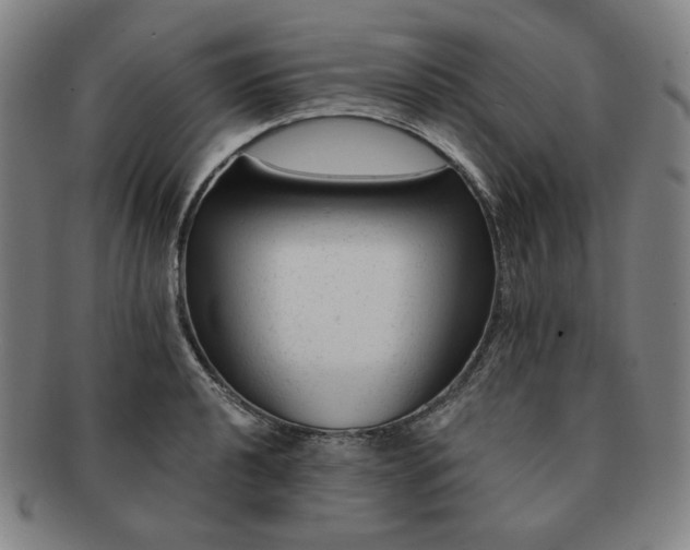 X0000091471040200708231334