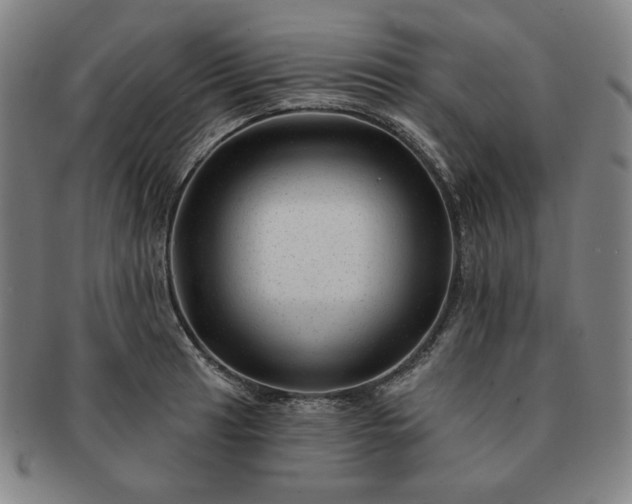 X0000091471041200708231334