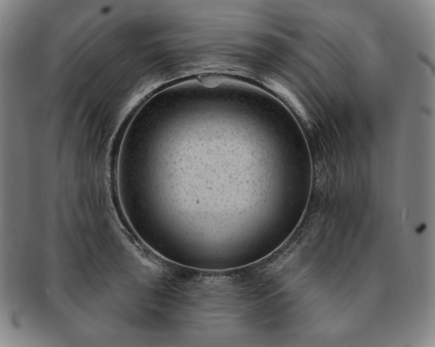 X0000091471043200708231334