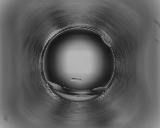 X0000091471044200708231334