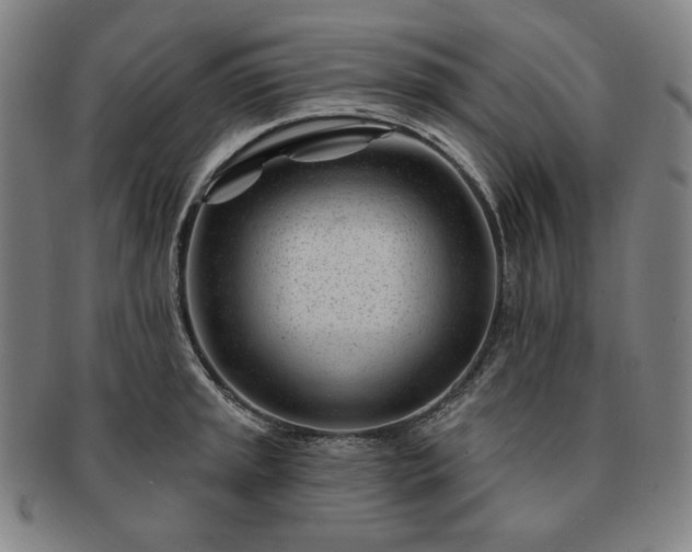 X0000091471045200708231334