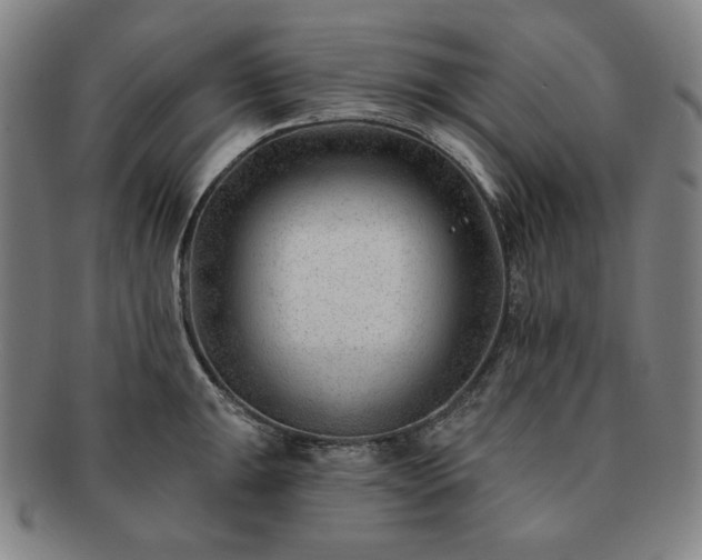 X0000091471047200708231334