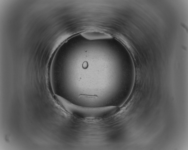 X0000091471048200708231334