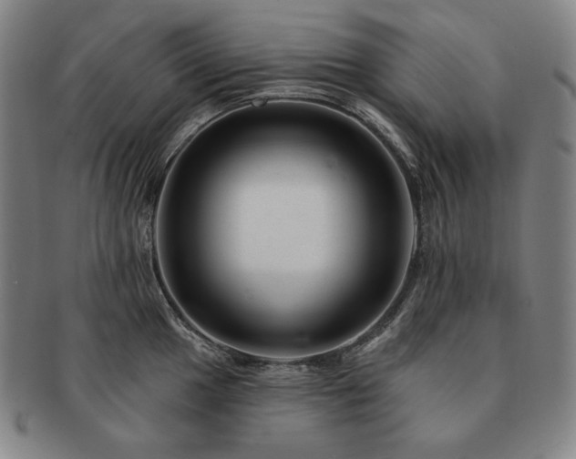 X0000091471049200708231334