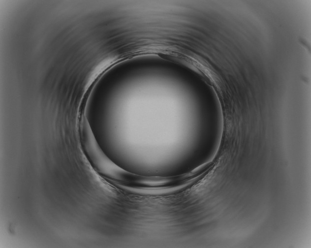 X0000091471050200708231334