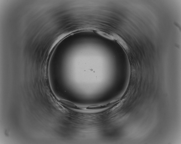 X0000091471052200708231334