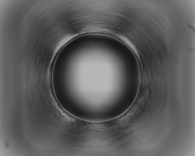 X0000091471053200708231334