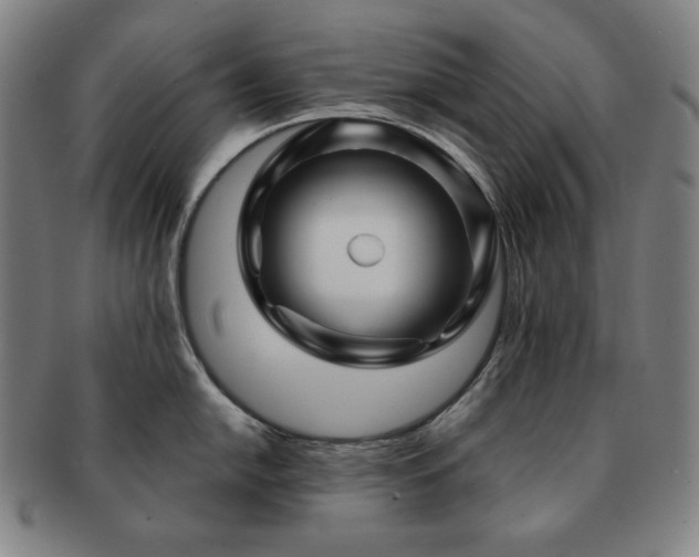 X0000091471054200708231334