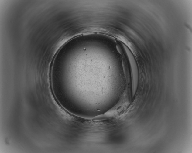 X0000091471055200708231334