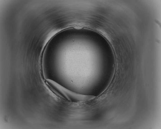 X0000091471056200708231334