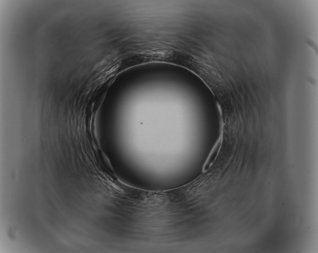 X0000091471058200708231333