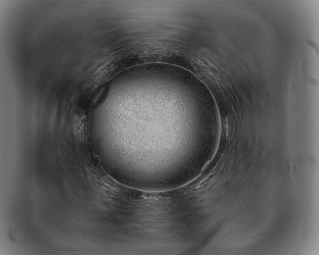 X0000091471059200708231333