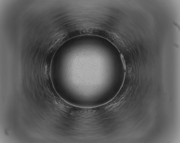 X0000091471060200708231333