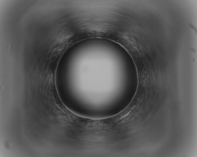 X0000091471061200708231333