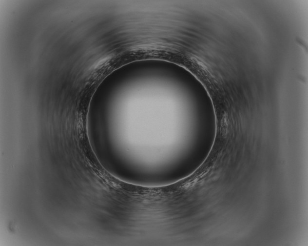 X0000091471062200708231333