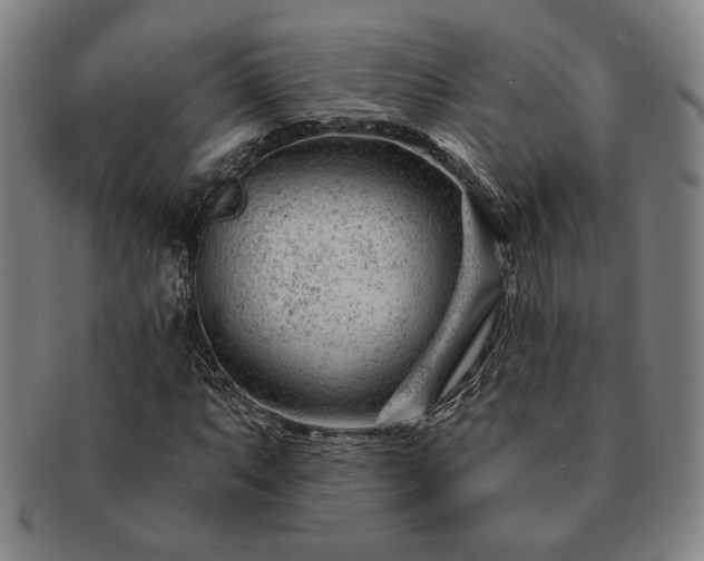 X0000091471063200708231333