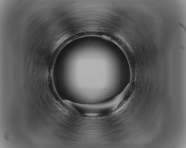 X0000091471065200708231333