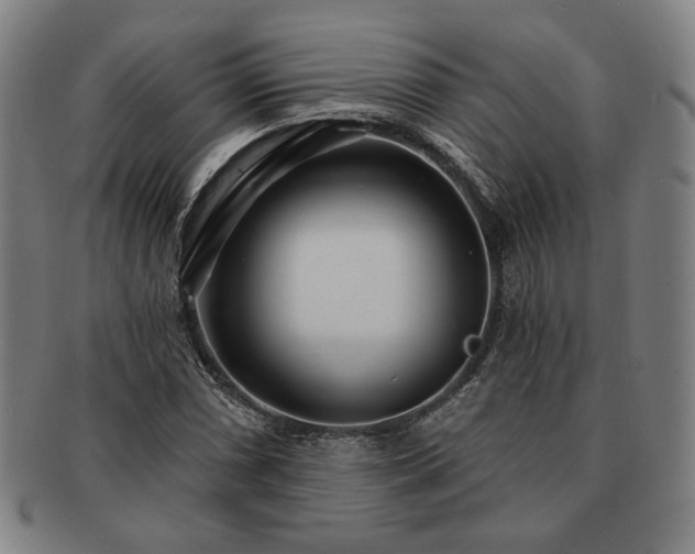 X0000091471066200708231333