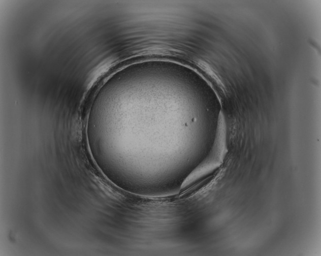 X0000091471067200708231333