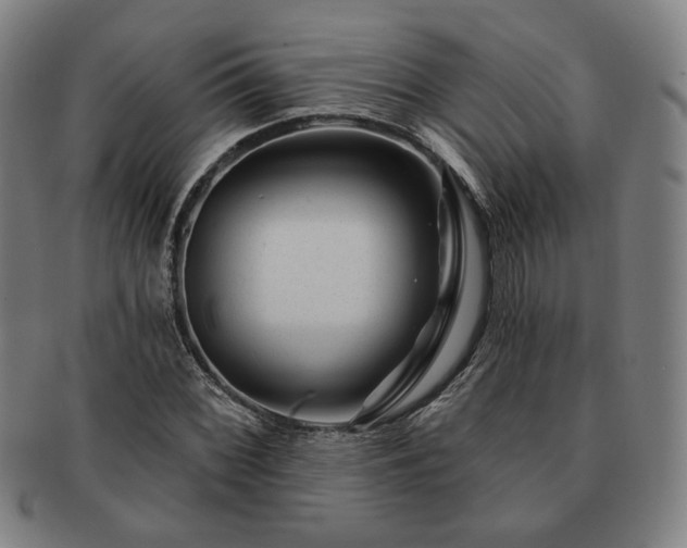 X0000091471068200708231333