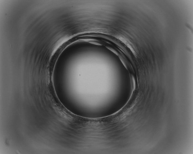 X0000091471069200708231333