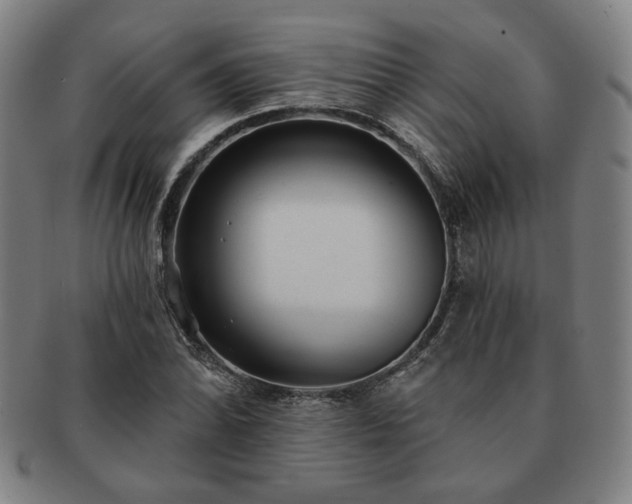 X0000091471070200708231333