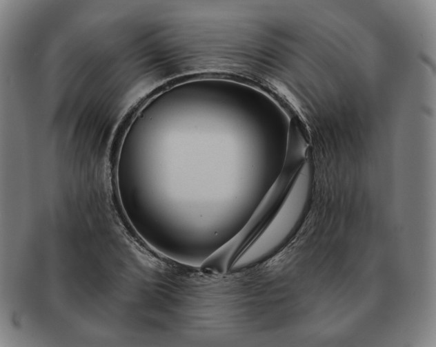 X0000091471072200708231333