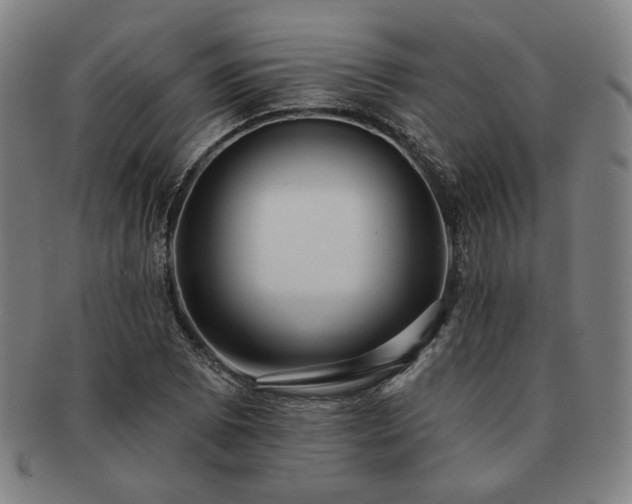 X0000091471073200708231333