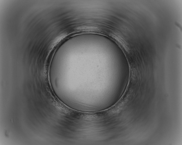 X0000091471074200708231333