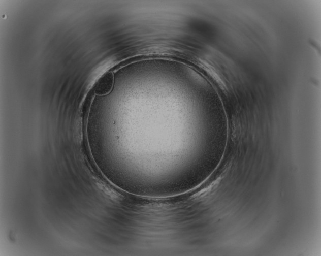 X0000091471075200708231333