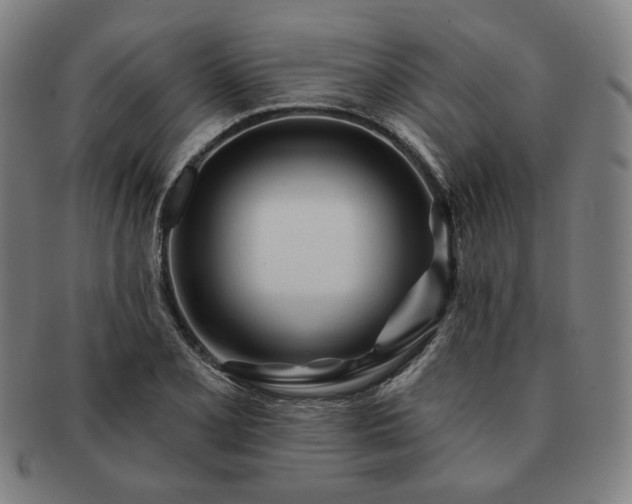 X0000091471077200708231333