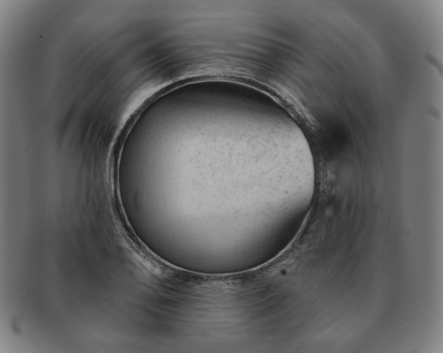 X0000091471078200708231333