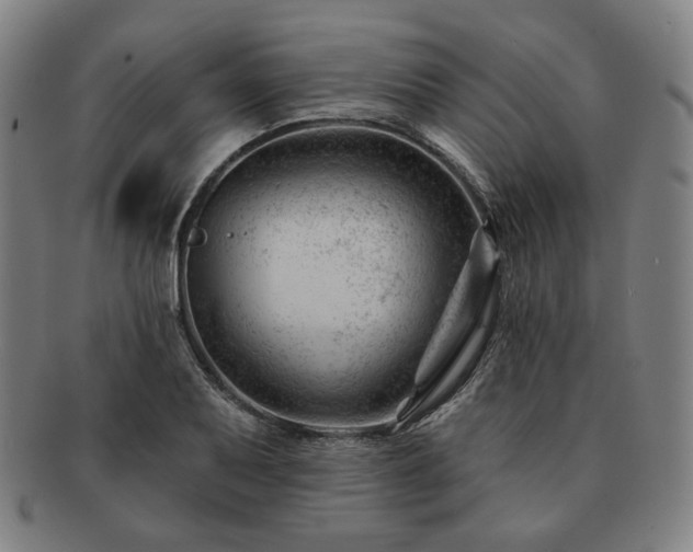 X0000091471079200708231333