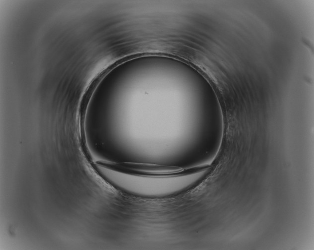 X0000091471080200708231333