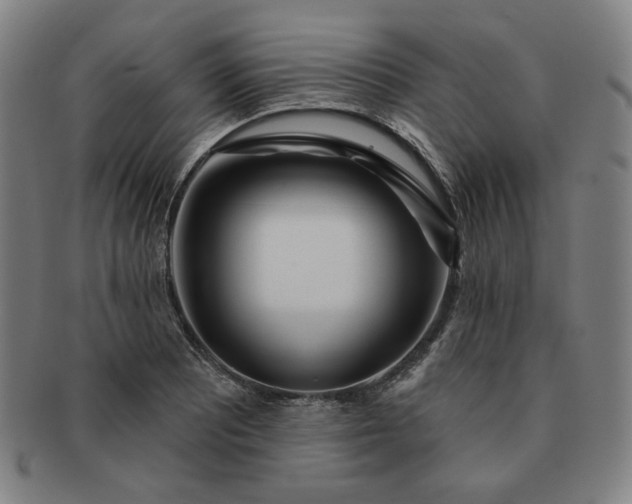 X0000091471081200708231333