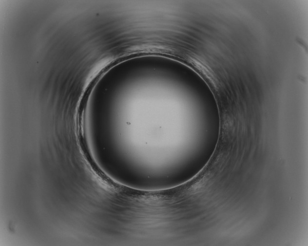 X0000091471082200708231333