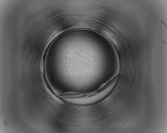 X0000091471084200708231333