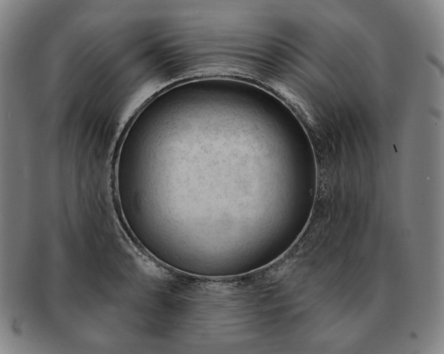 X0000091471086200708231333